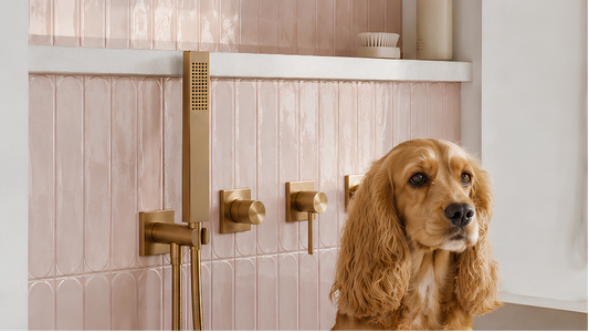 Ahti Interiors Joins the Mission to Help Dogs in Bali